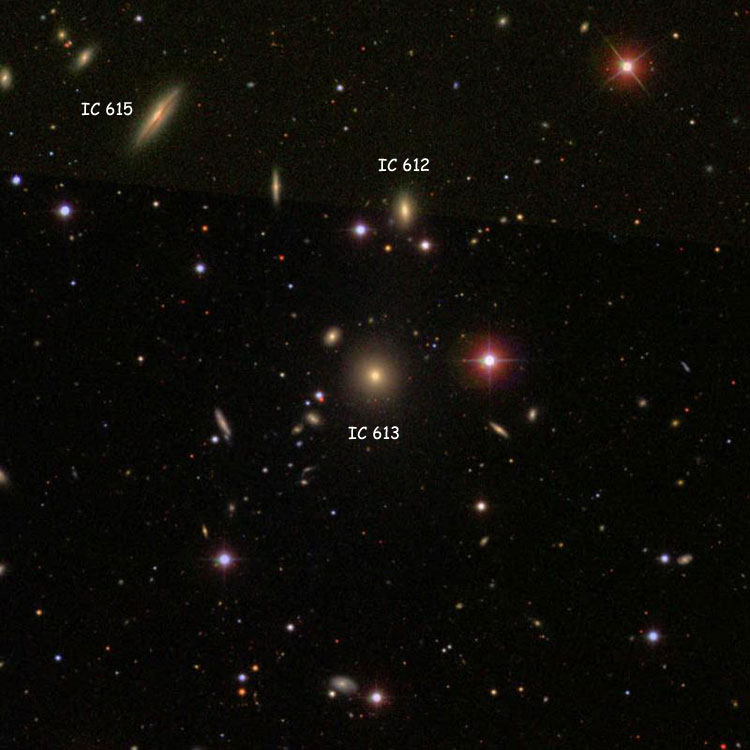 SDSS image of elliptical galaxy IC 613, also showing lenticular galaxy IC 612 and spiral galaxy IC 615