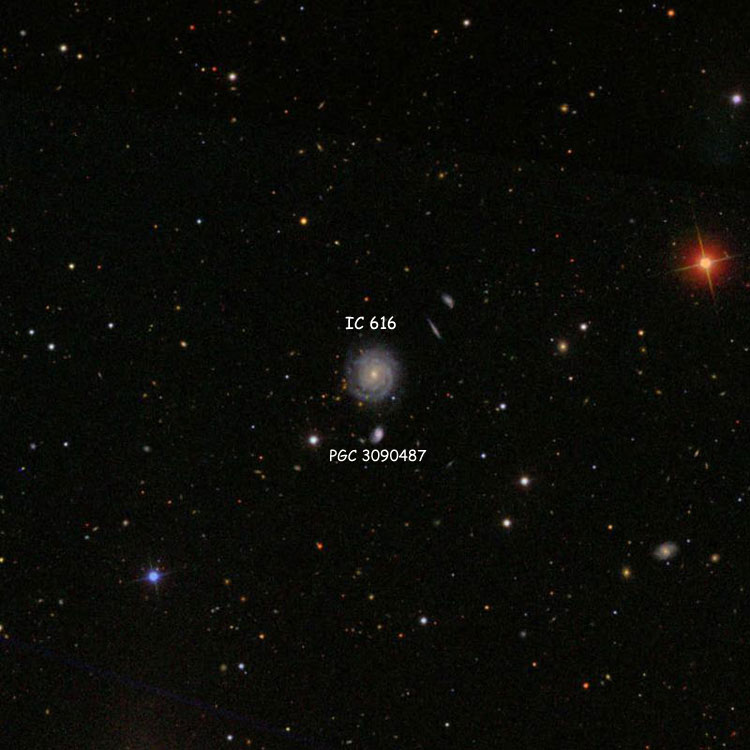 SDSS image of region near spiral galaxy IC 616