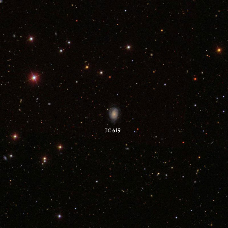 SDSS image of region near spiral galaxy PGC 31235, which is probably IC 619