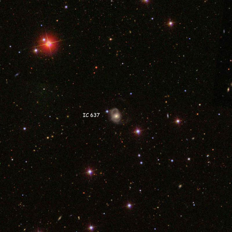 SDSS image of region near spiral galaxy IC 637