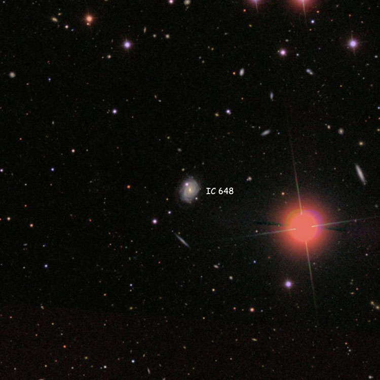 SDSS image of region near spiral galaxy IC 648