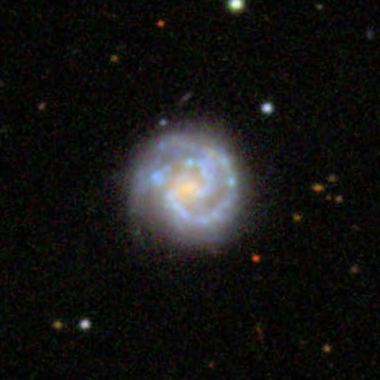 SDSS image of spiral galaxy IC 651
