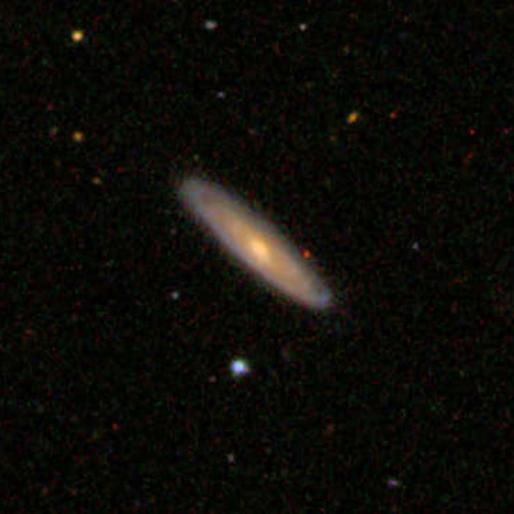 SDSS image of spiral galaxy IC 655