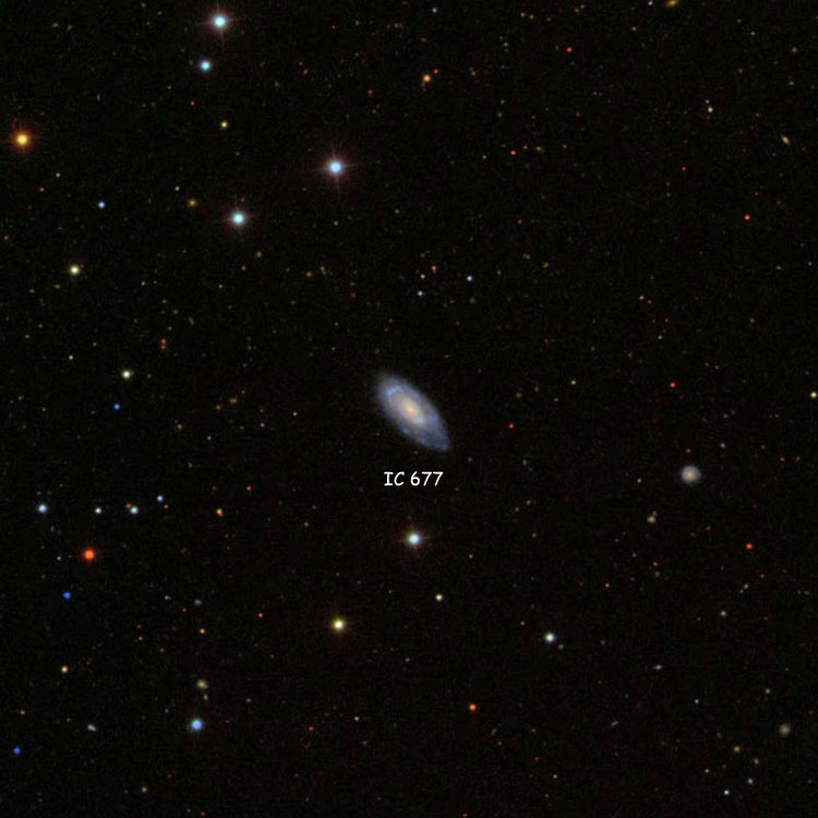 SDSS image of region near spiral galaxy IC 677