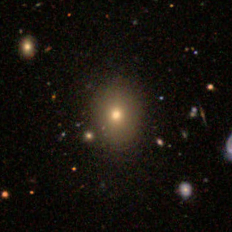 SDSS image of elliptical galaxy IC 683
