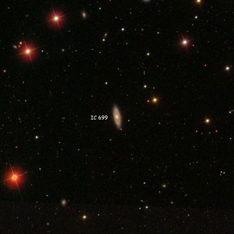 SDSS image of region near spiral galaxy IC 699