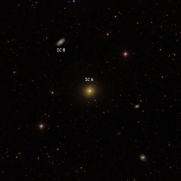 SDSS image of region near elliptical galaxy IC 6, also showing IC 8