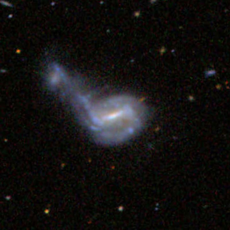 SDSS image of spiral galaxy IC 701, also known as Arp 197