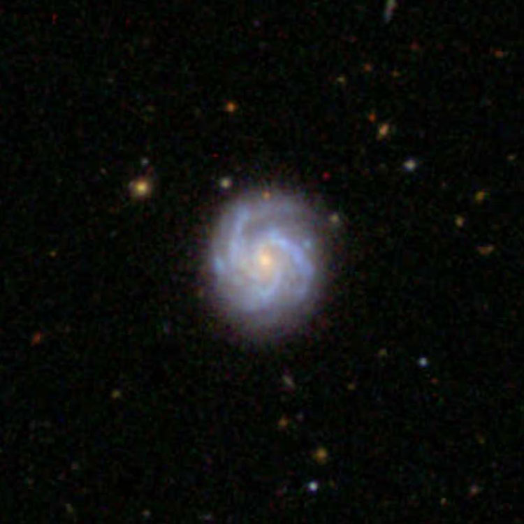SDSS image of spiral galaxy IC 707