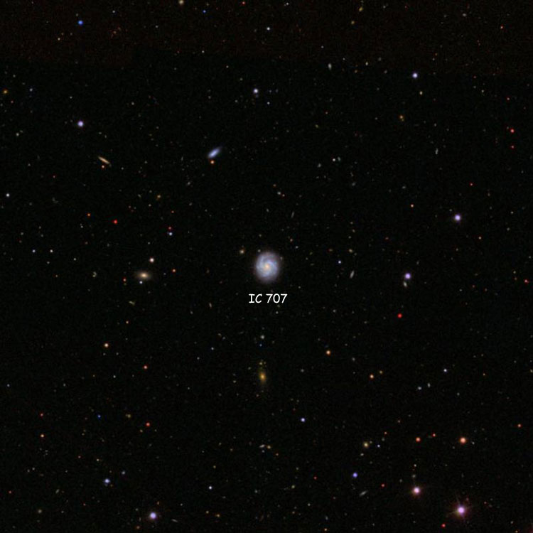 SDSS image of region near spiral galaxy IC 707