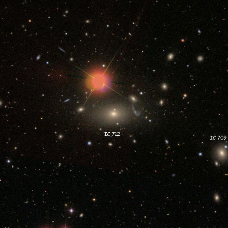 SDSS image of region near elliptical galaxy IC 712, also showing elliptical galaxy IC 709