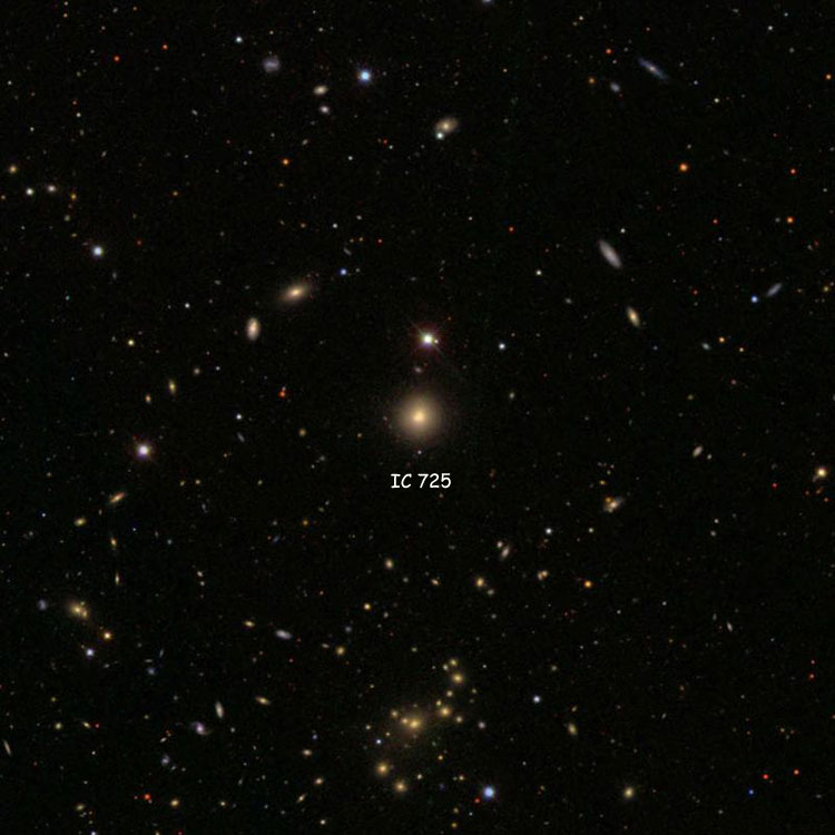 SDSS image of region near elliptical galaxy IC 725