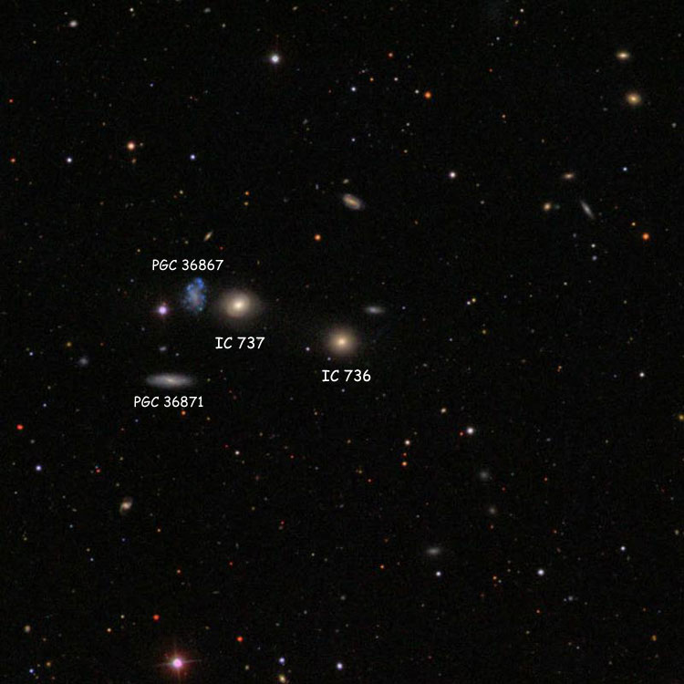 SDSS image of region near lenticular galaxy IC 736, also showing the other members of Hickson Compact Group 59: spiral galaxies IC 737 and PGC 36871, and irregular galaxy PGC 36867