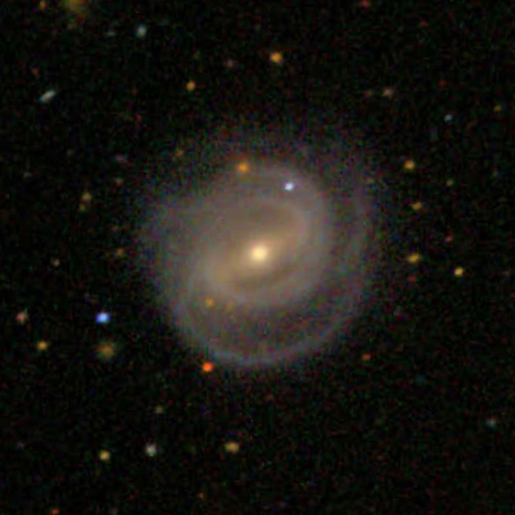SDSS image of spiral galaxy IC 742