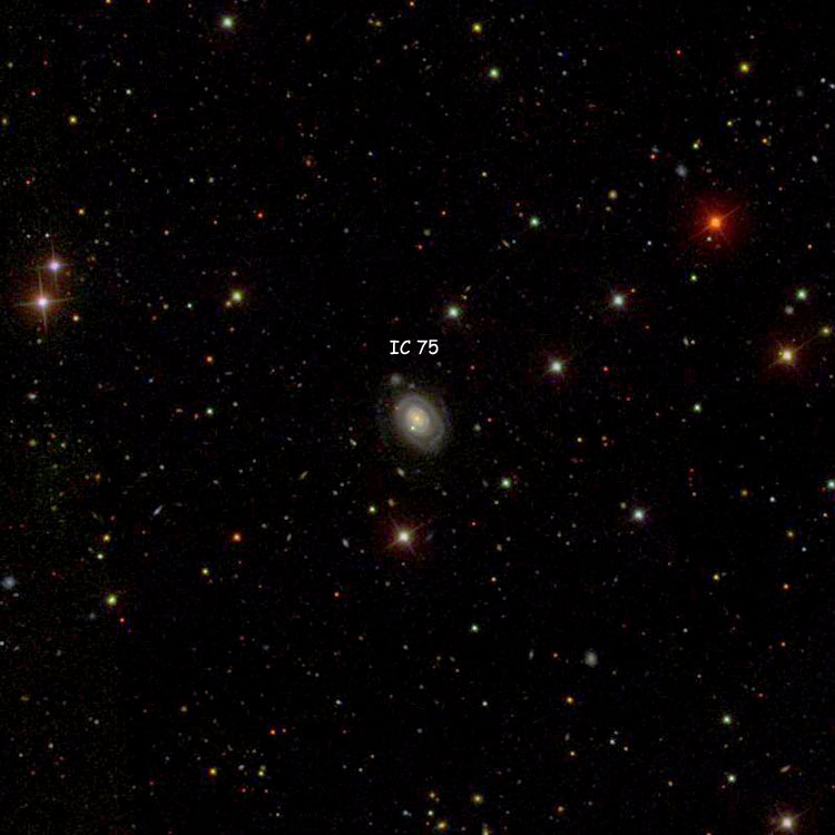 SDSS image of region near spiral galaxy IC 75