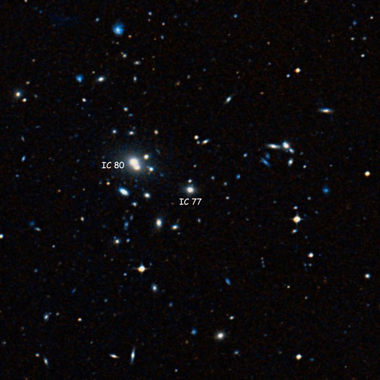 DSS image of region near lenticular galaxy IC 77, also showing IC 80