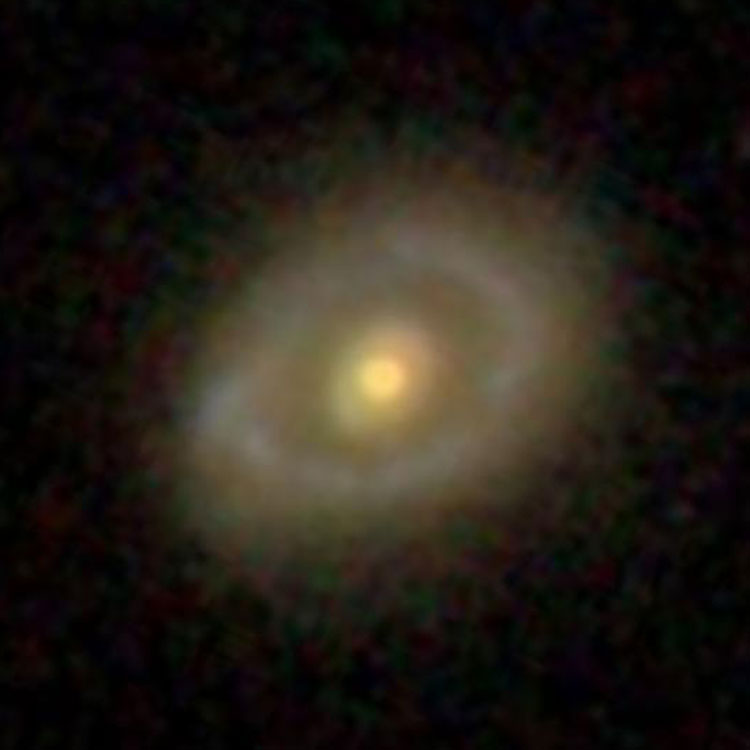 SDSS image of peculiar galaxy IC 9