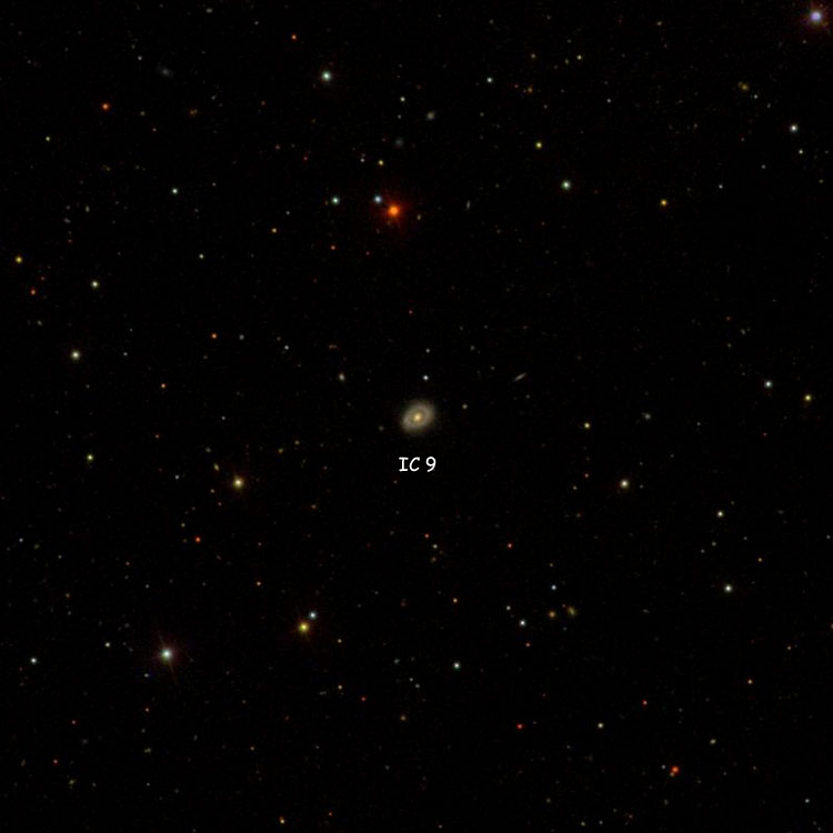 SDSS image of region near peculiar galaxy IC 9