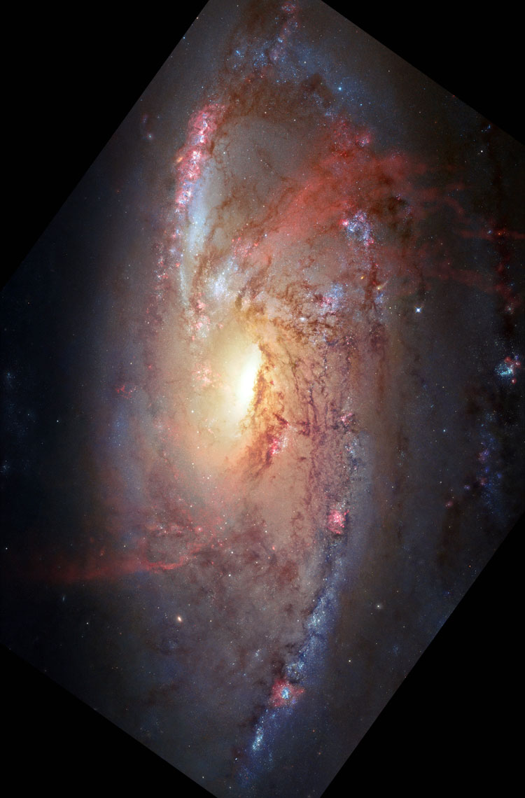 HST image of spiral galaxy NGC 4258, also known as M106
