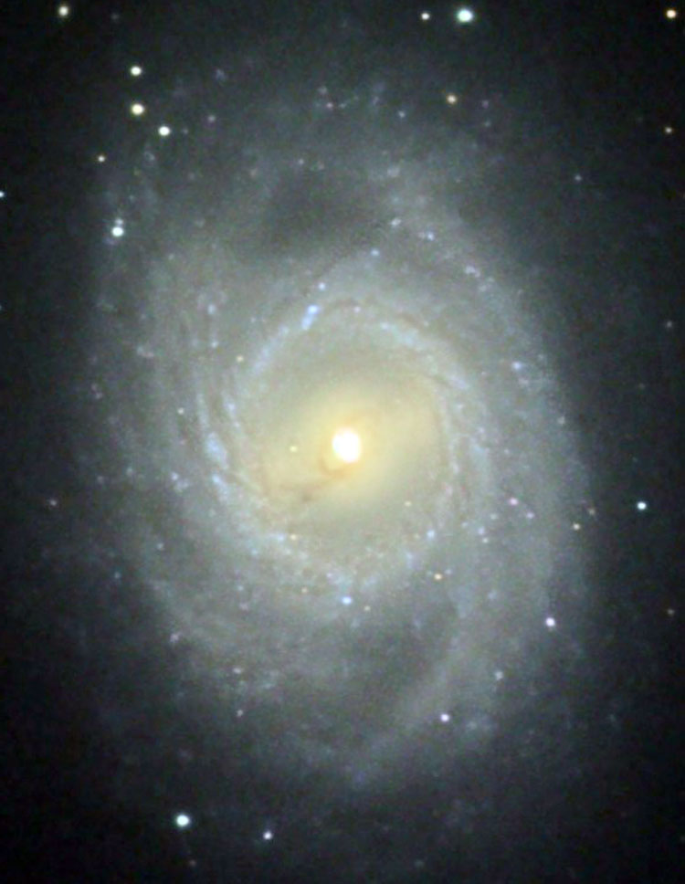 Misti Mountain Observatory image of spiral galaxy NGC 3351, also known as M95