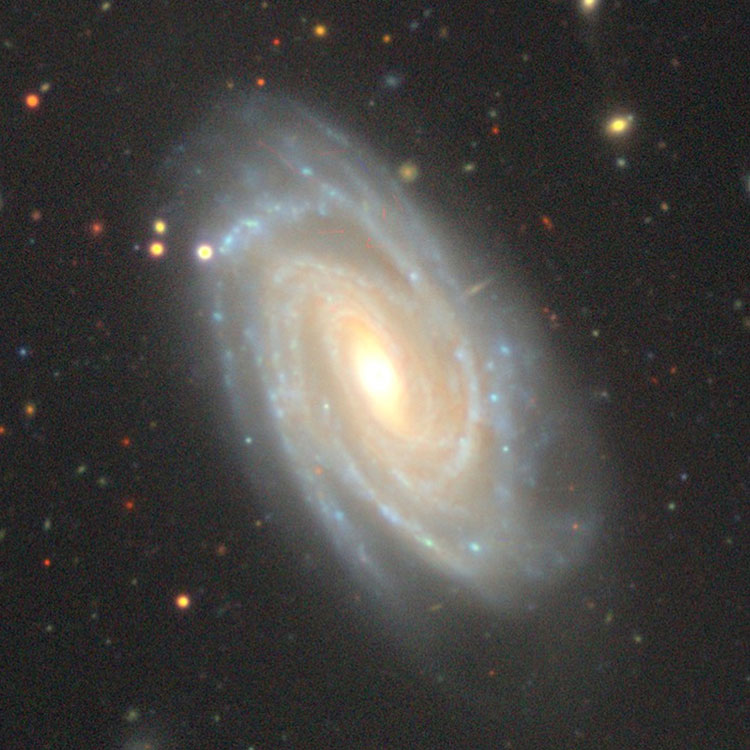 DESI Legacy Survey image of spiral galaxy NGC 10