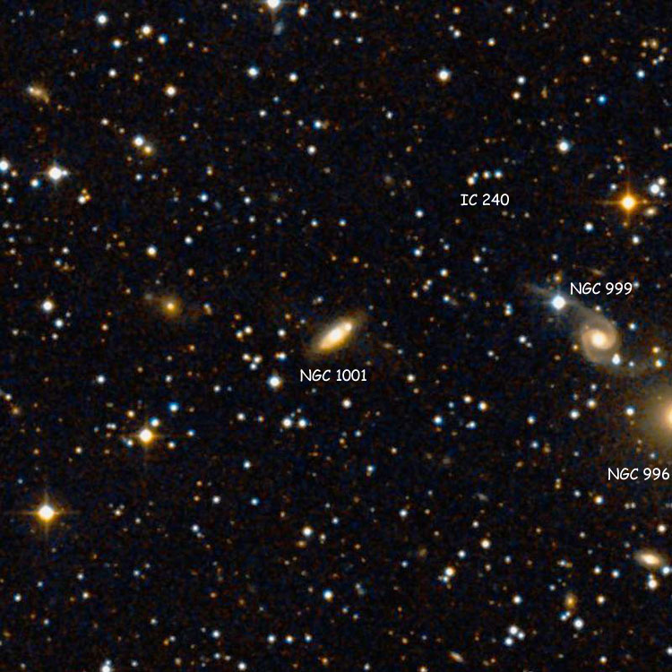 DSS image of region near lenticular galaxy NGC 1001, also showing NGC 999, the group of stars listed as IC 240, and part of NGC 996
