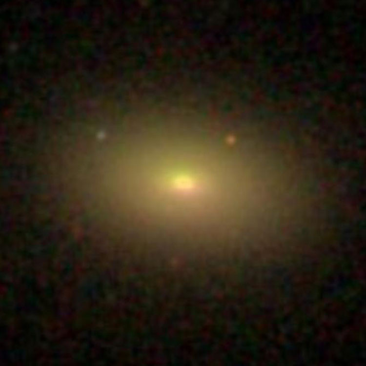 SDSS image of elliptical galaxy NGC 1008