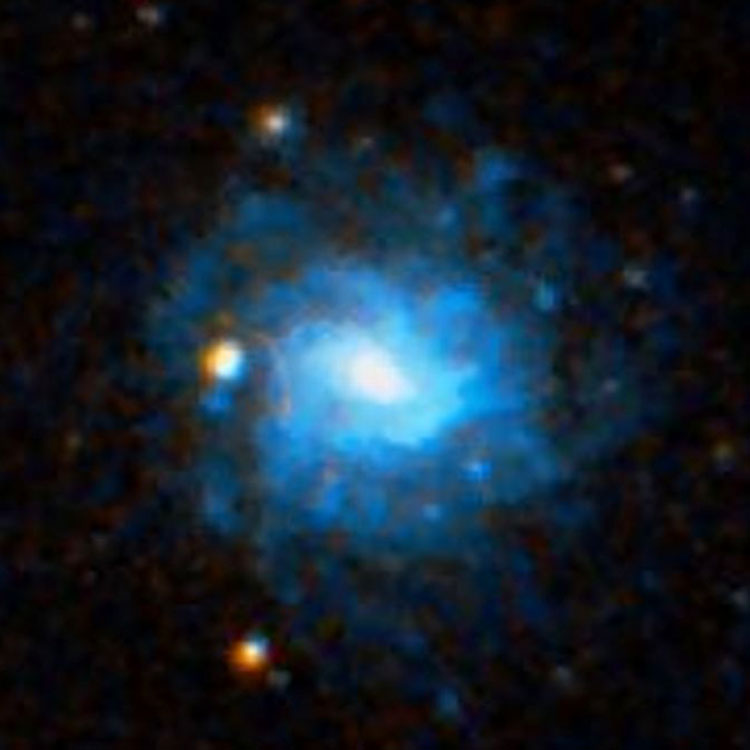 DSS image of spiral galaxy NGC 101