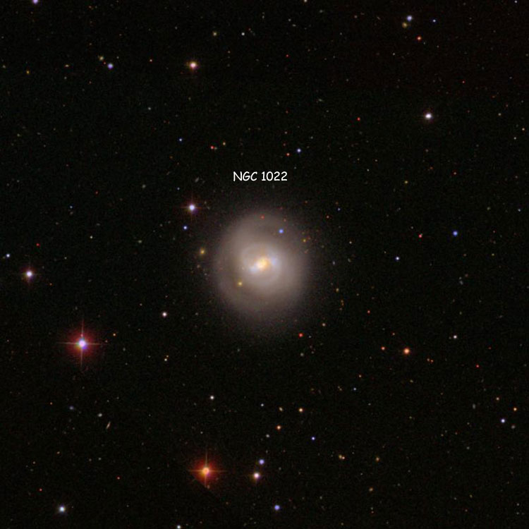 SDSS image of region near spiral galaxy NGC 1022