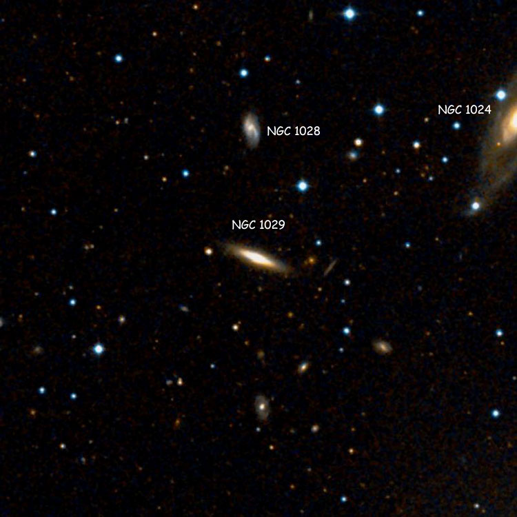 DSS image of region near lenticular galaxy NGC 1029, also showing NGC 1028 and part of NGC 1024