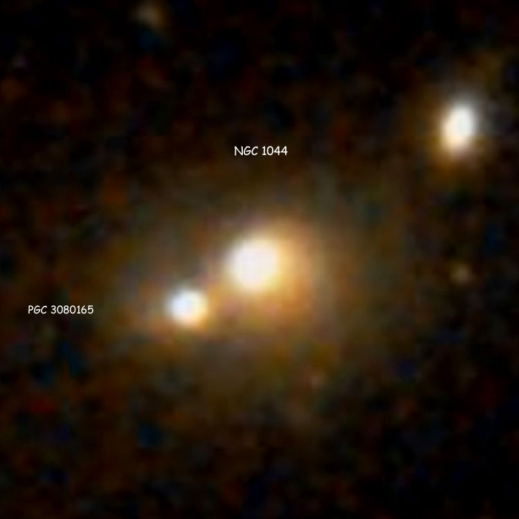 DSS image of lenticular galaxy NGC 1044 and its apparent companion, PGC 3080165