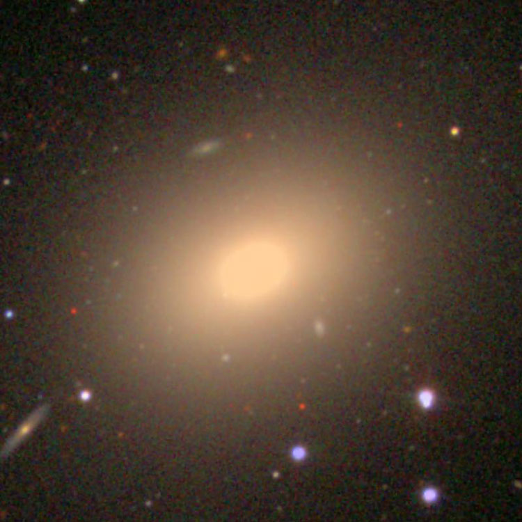 SDSS image of elliptical galaxy NGC 1052