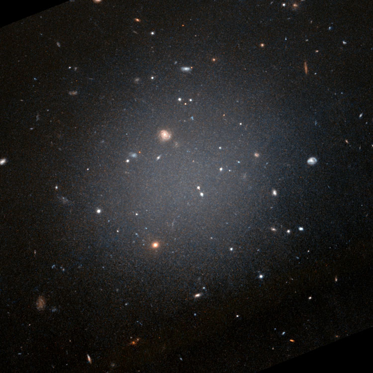 HST image of ultra diffuse spheroidal galaxy PGC 3097693, also known as NGC 1052-DF2