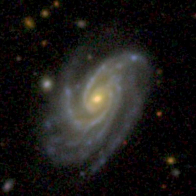 SDSS image of spiral galaxy NGC 1069