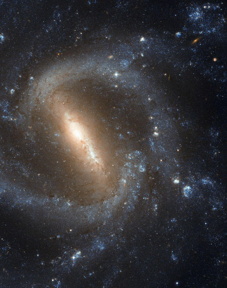 HST image of part of the central regions in spiral galaxy NGC 1073
