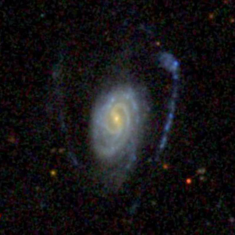 SDSS image of spiral galaxy NGC 1074