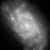 de Vaucouleurs Atlas of Galaxies image of page for NGC 1084