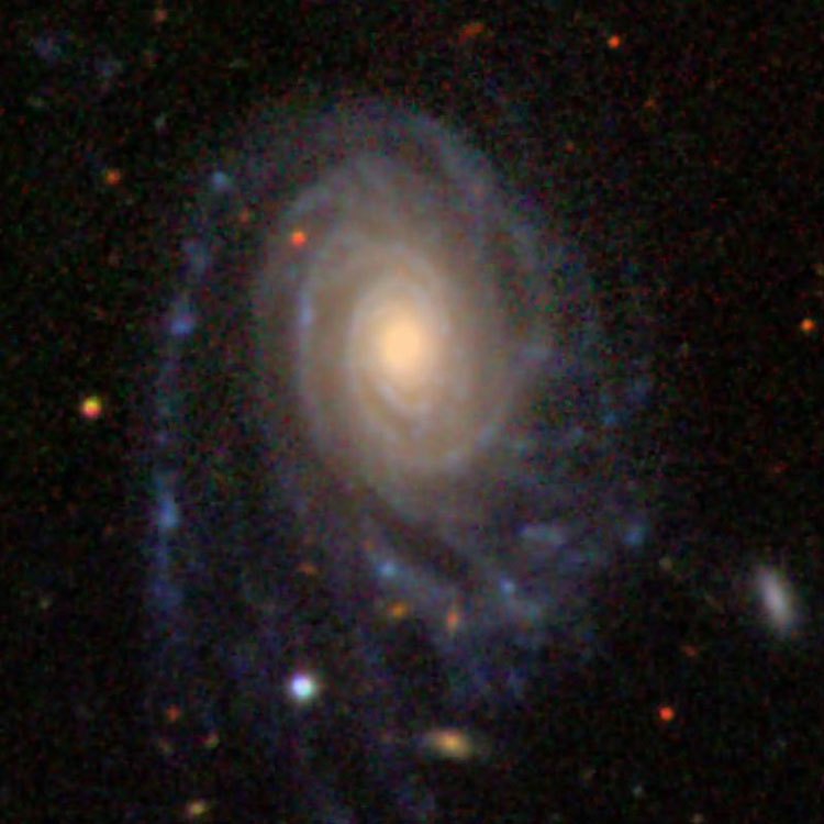 SDSS image of spiral galaxy NGC 1085