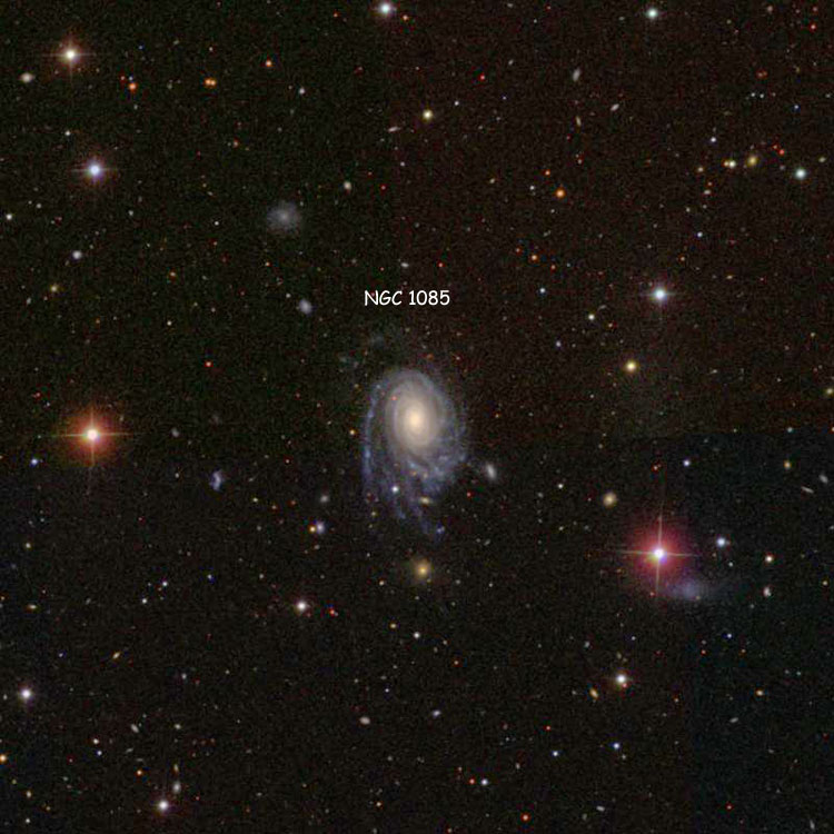 SDSS image of region near spiral galaxy NGC 1085