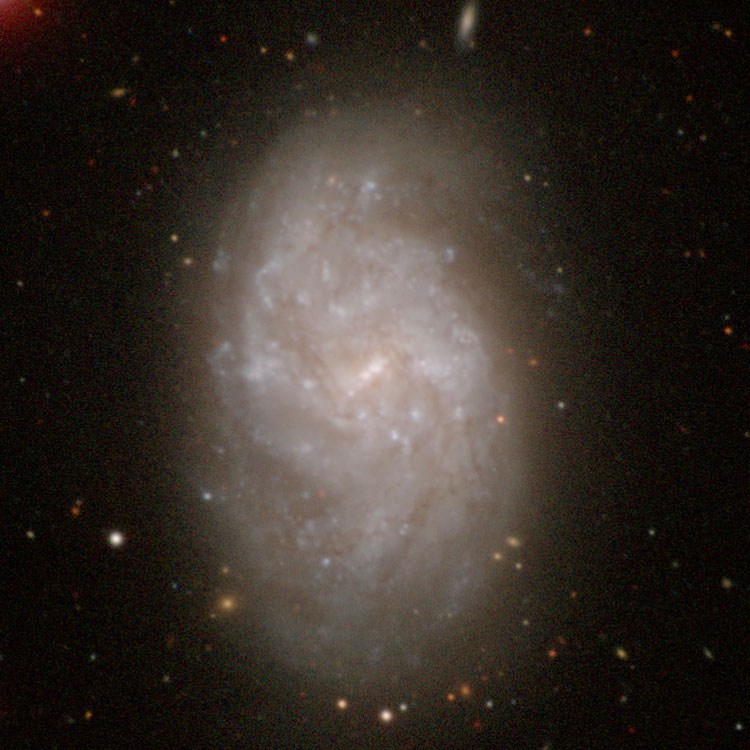 SDSS image of spiral galaxy NGC 1087