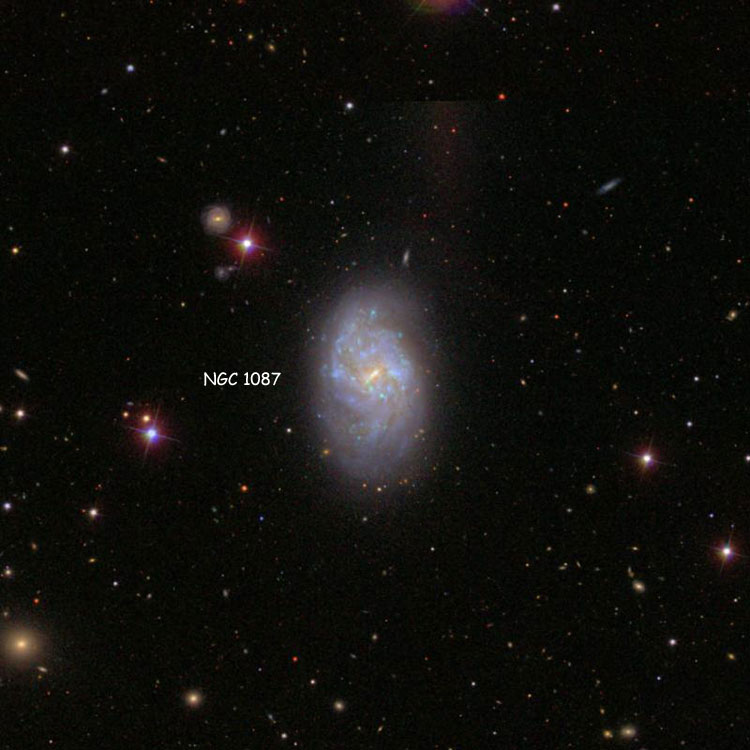 SDSS image of region near spiral galaxy NGC 1087