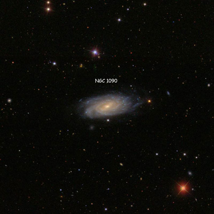 SDSS image of region near spiral galaxy NGC 1090