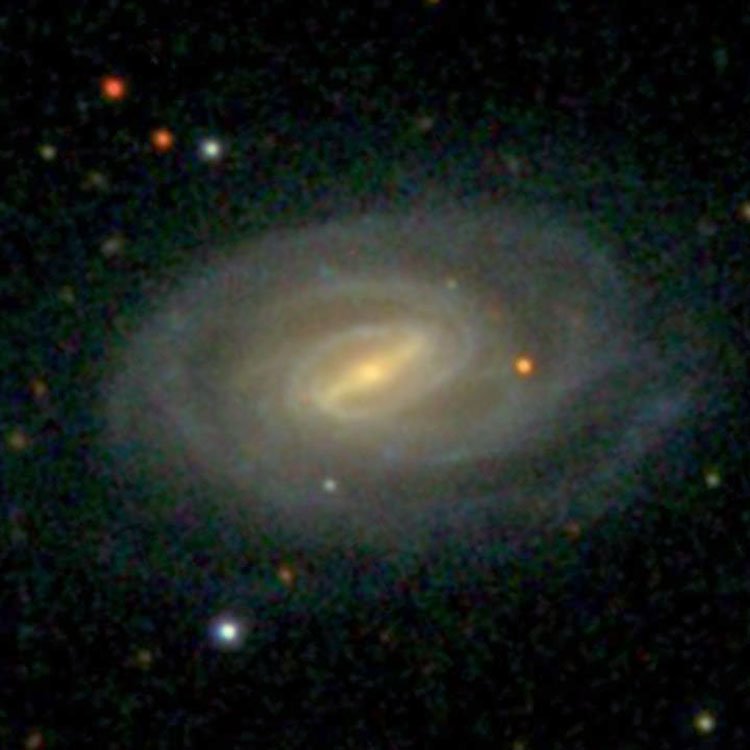 SDSS image of spiral galaxy NGC 1093