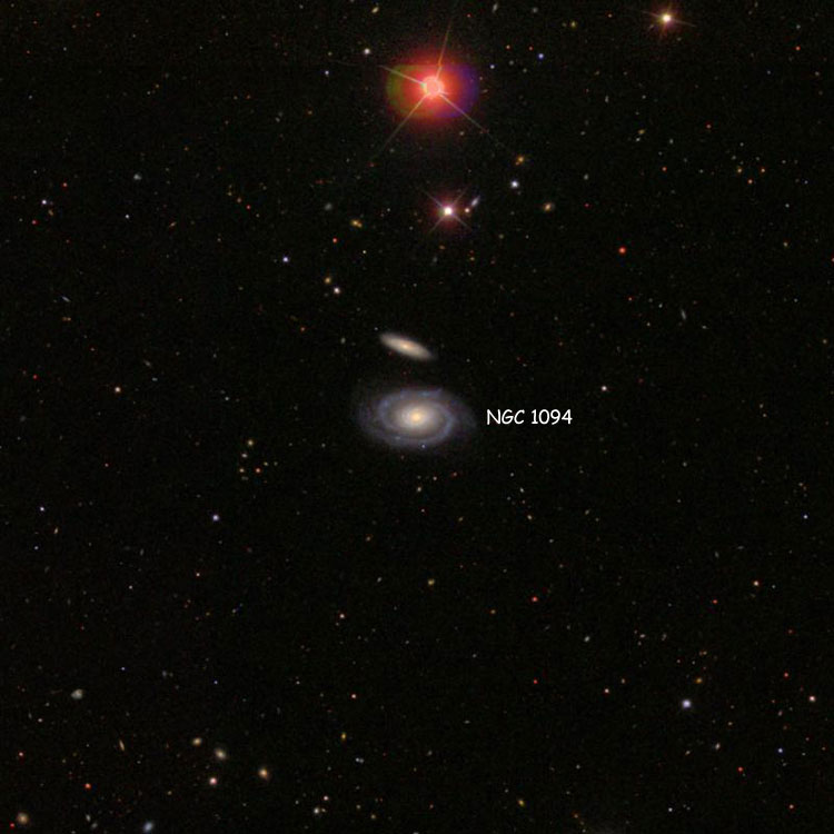 SDSS image of region near spiral galaxy NGC 1094