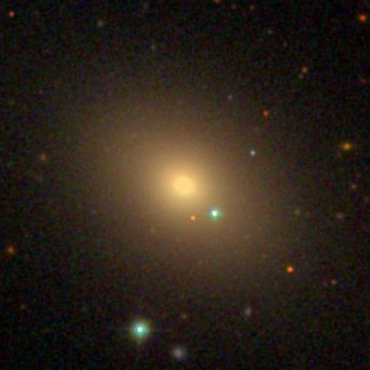 SDSS image of lenticular galaxy NGC 1153