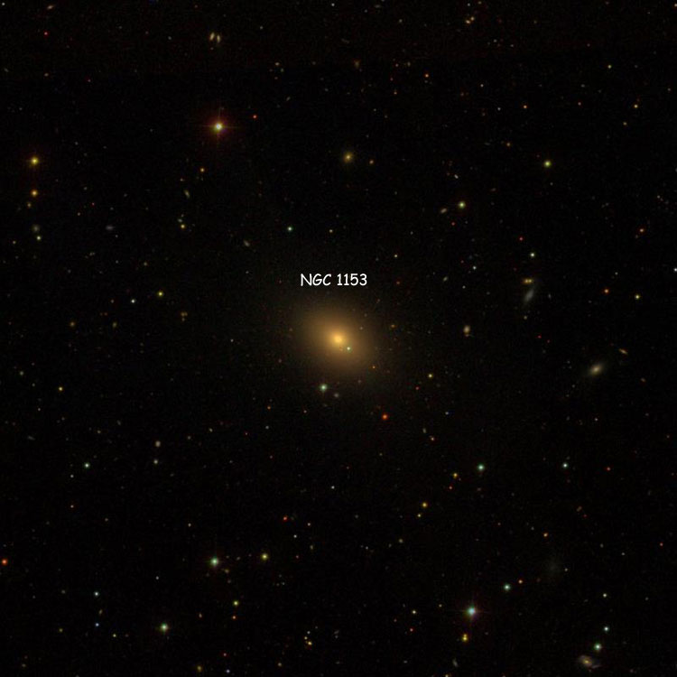 SDSS image of region near lenticular galaxy NGC 1153