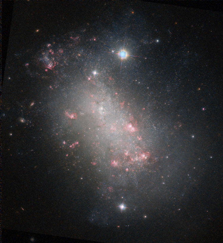 Partially processed 'raw' HST image of irregular galaxy NGC 1156