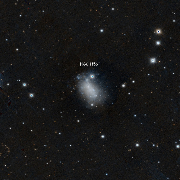 PanSTARRS image of region near irregular galaxy NGC 1156