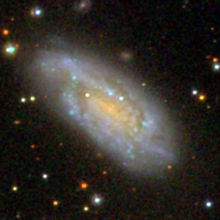 SDSS image of spiral galaxy NGC 1160