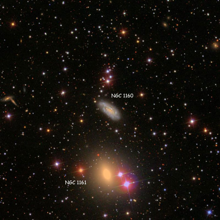 SDSS image of region near spiral galaxy NGC 1160, also showing NGC 1161